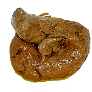 Dışkı